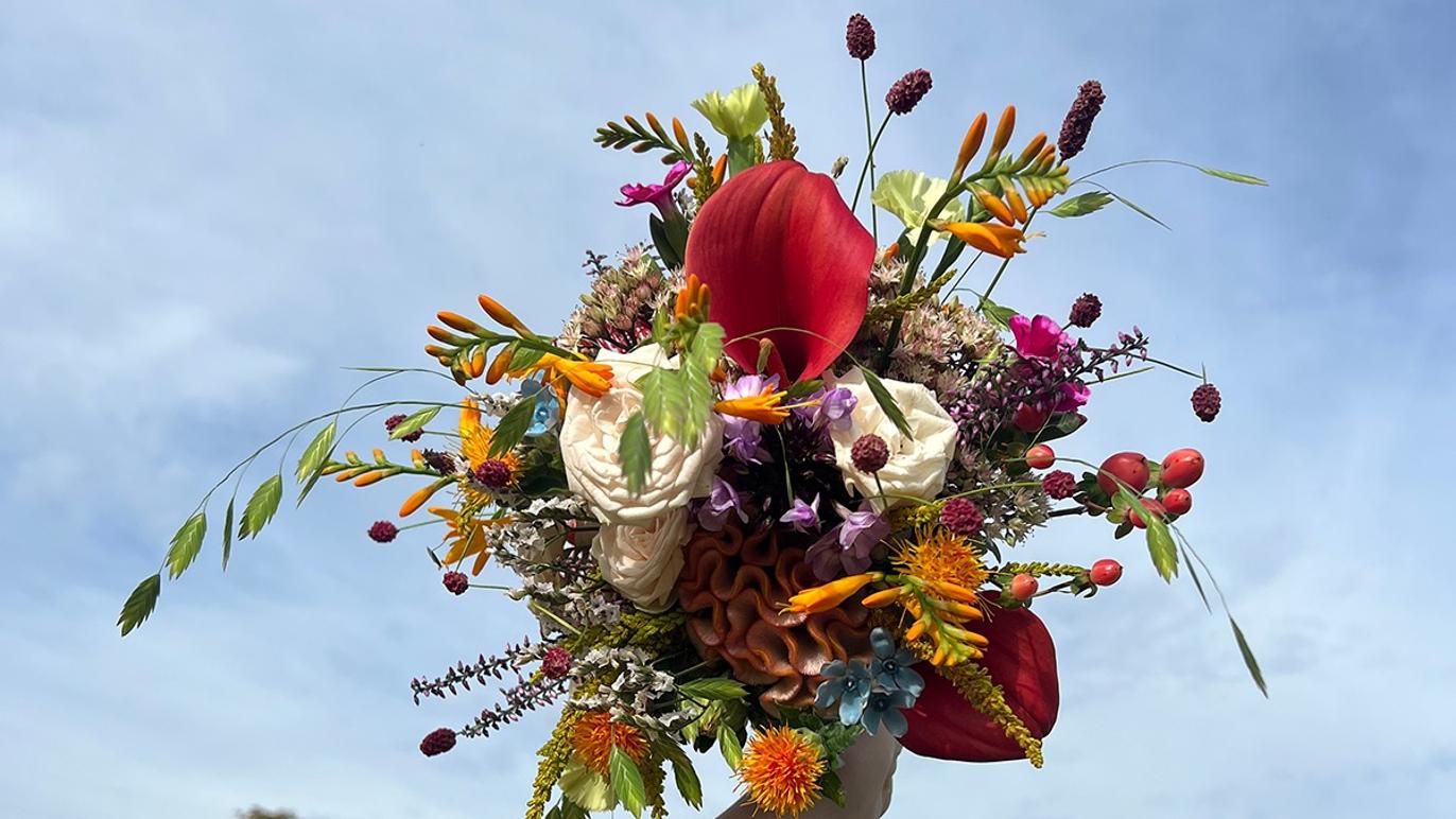 Images Fyrkat Blomster