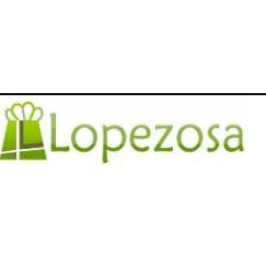 Almacenes Lopezosa S.L. Logo