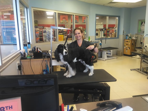 Images Petco Grooming