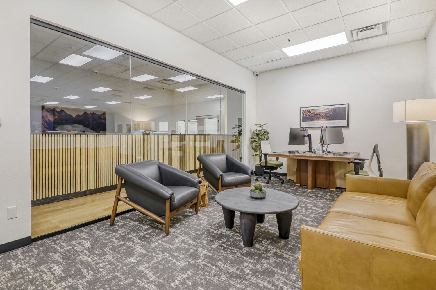 Alpha Video Surveillance Image