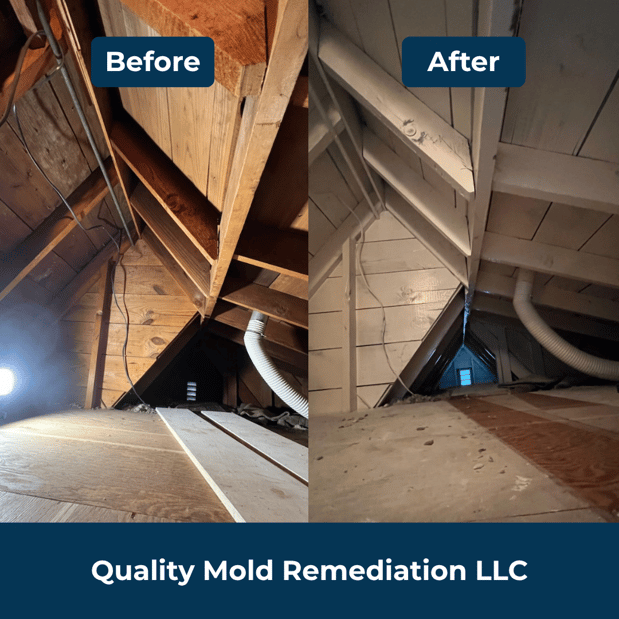 Images Quality Mold Remediation LLC