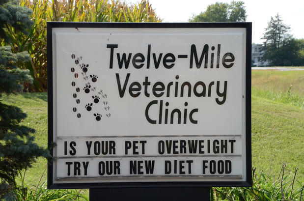 Images Twelve Mile Veterinary Clinic