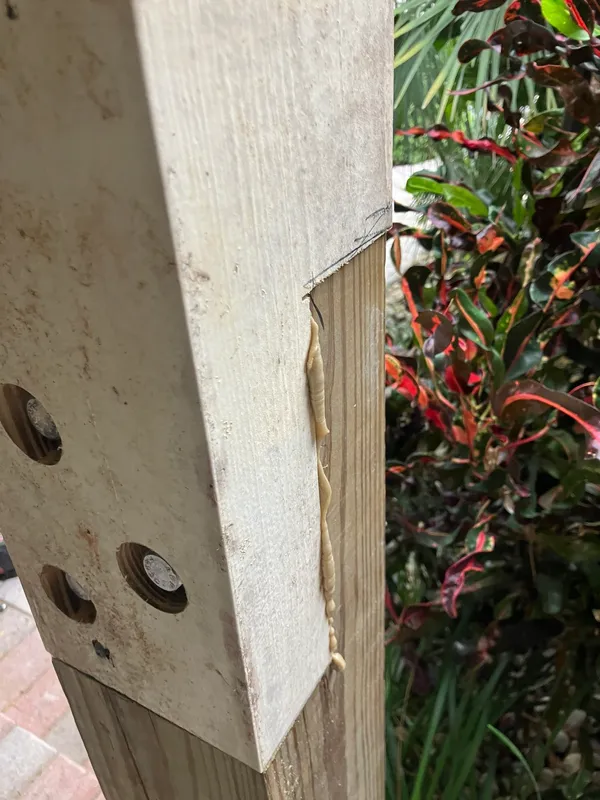 Manifested Concepts, LLC Image