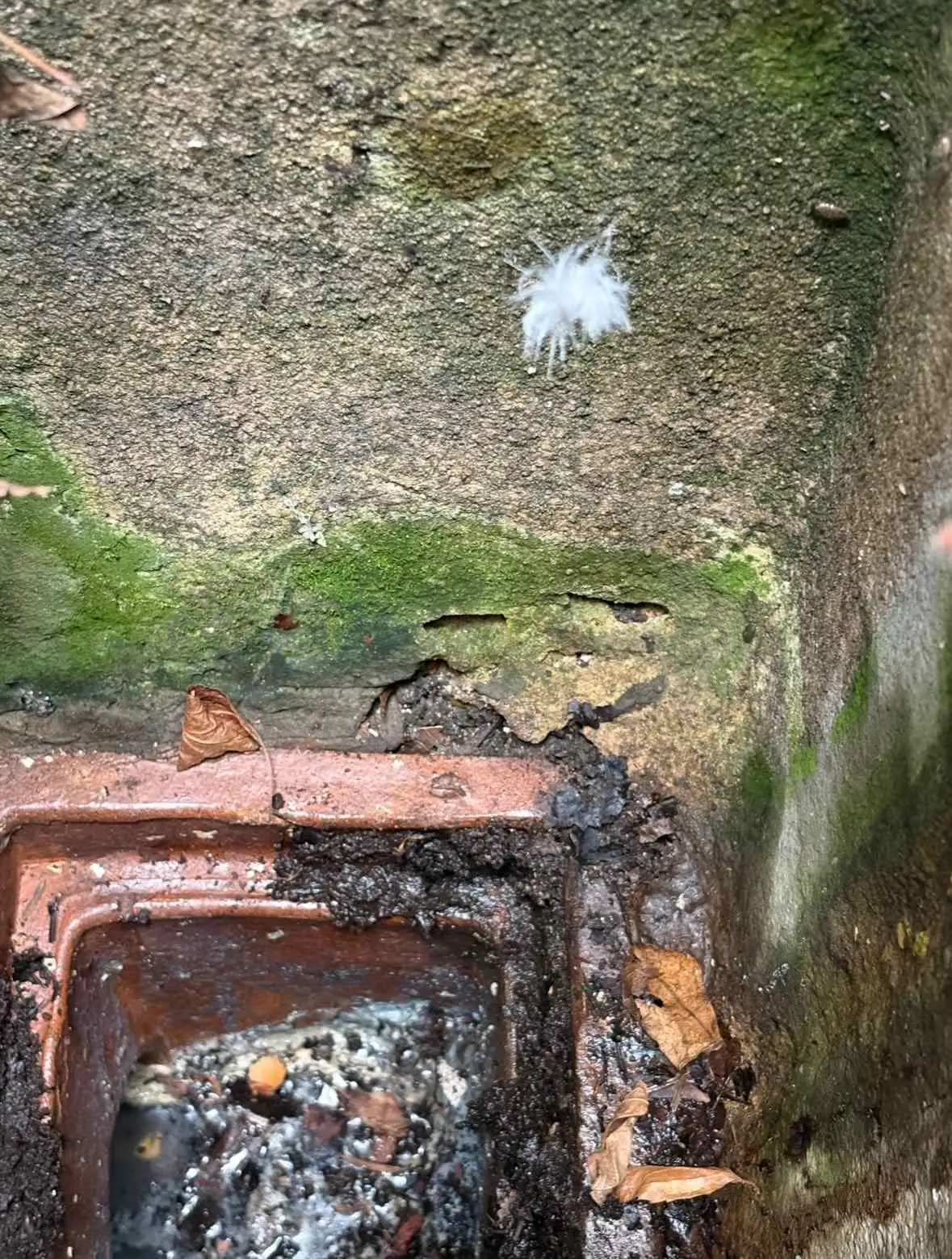 Images Southdowns Drainage