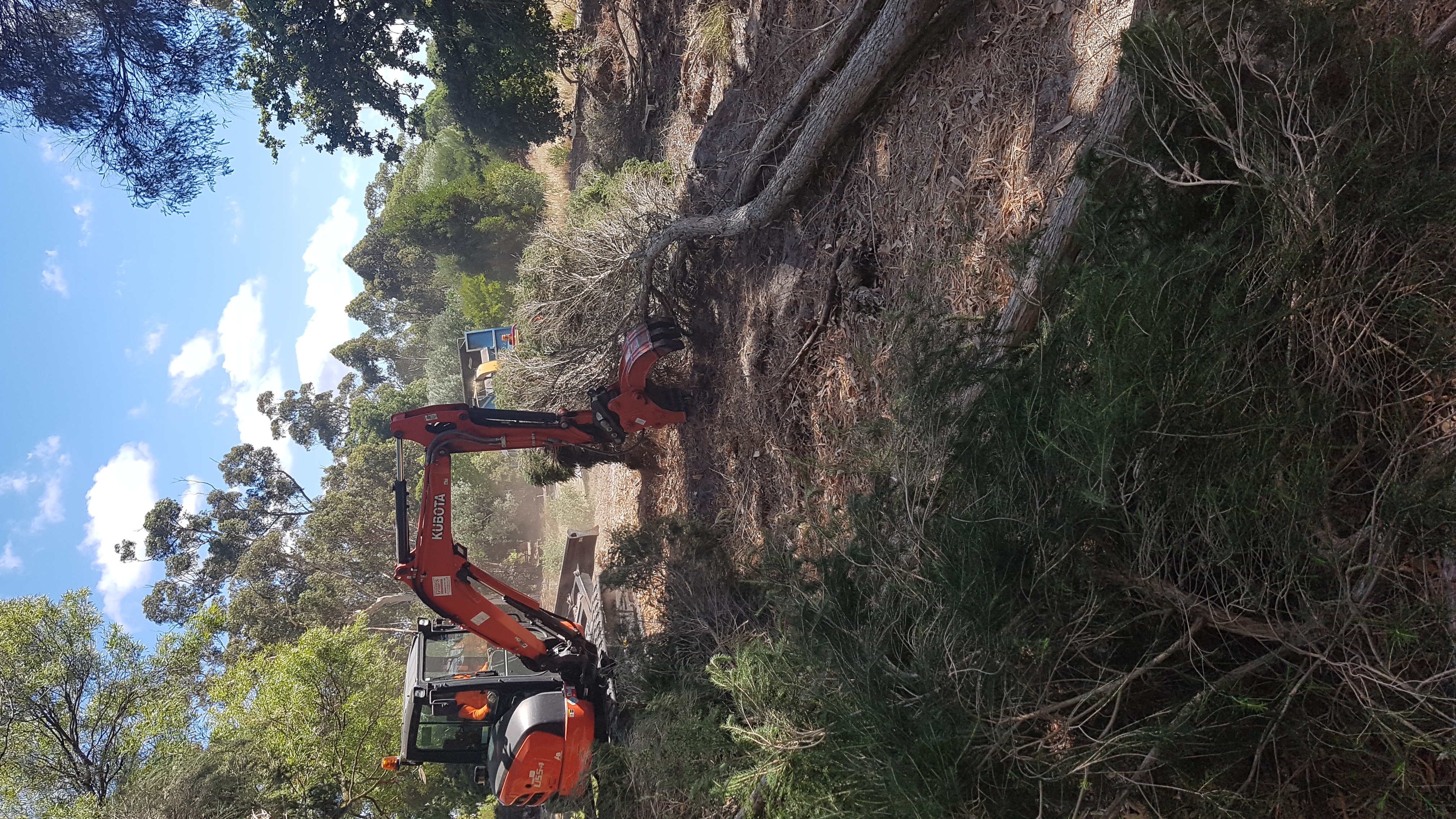 Images Global Arborist Australia