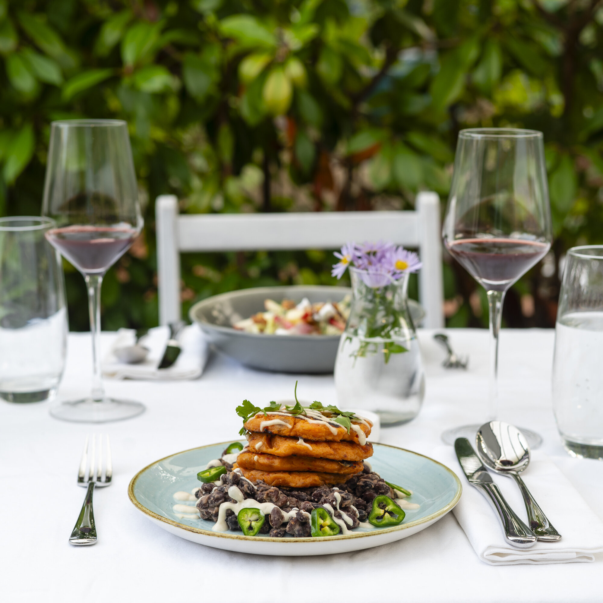 Images Feed the Village