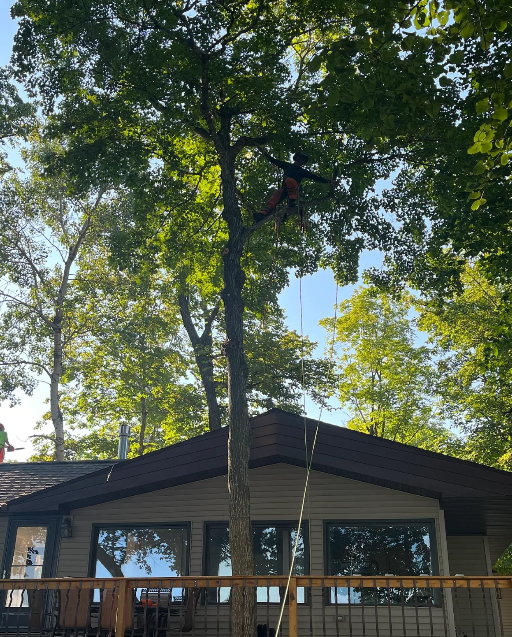 Jake's Tree Service Image
