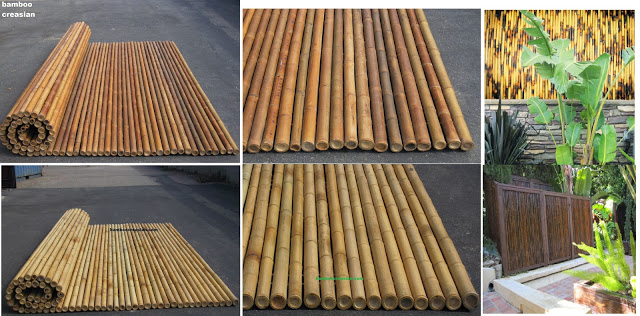 Images Bamboo Creasian Inc