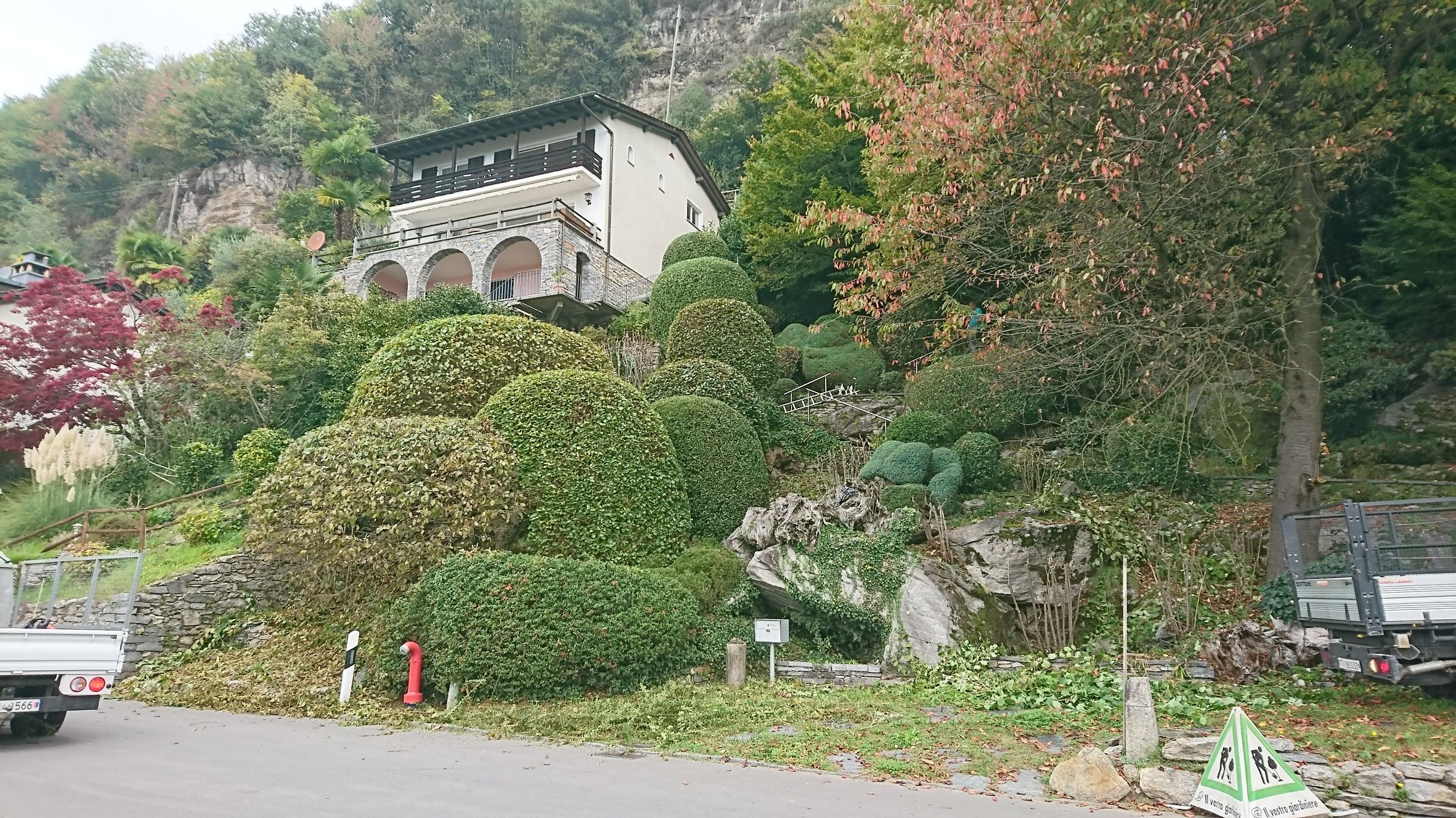 Bilder Wistaria Sagl