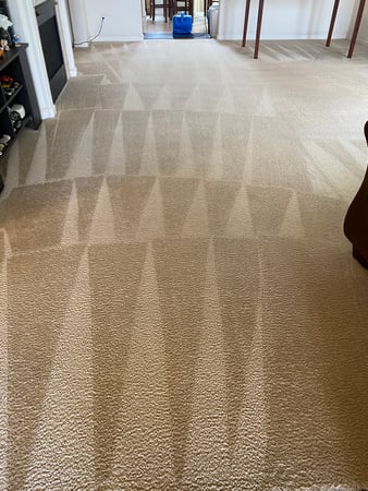 Images Ponce Carpet Steam Cleaning