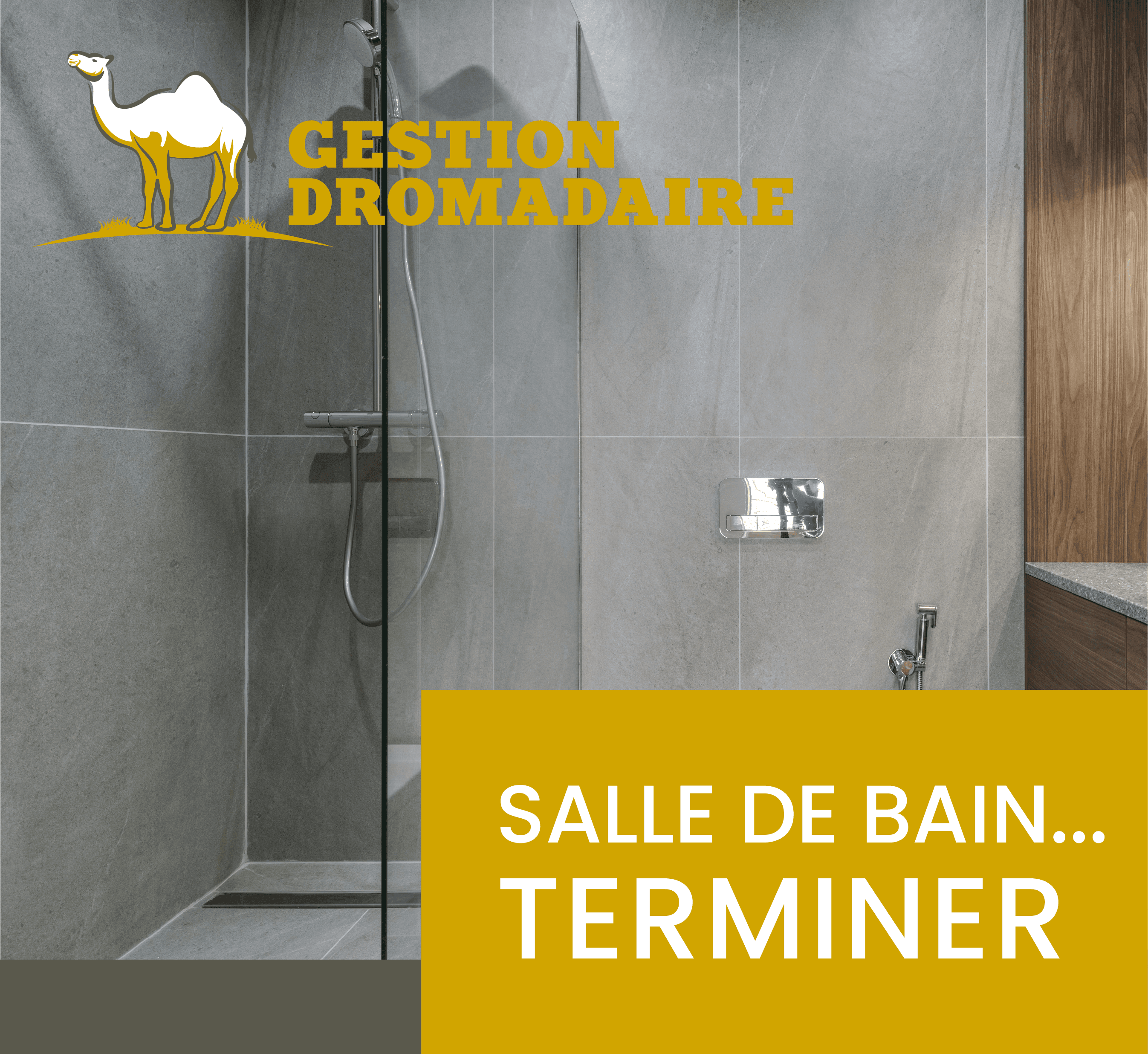 Images Gestion Dromadaire Inc