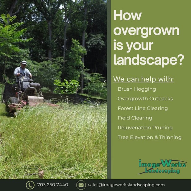 Images Image Works Landscaping