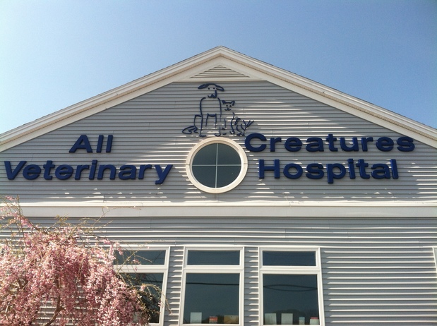 Images All Creatures Veterinary Hospital