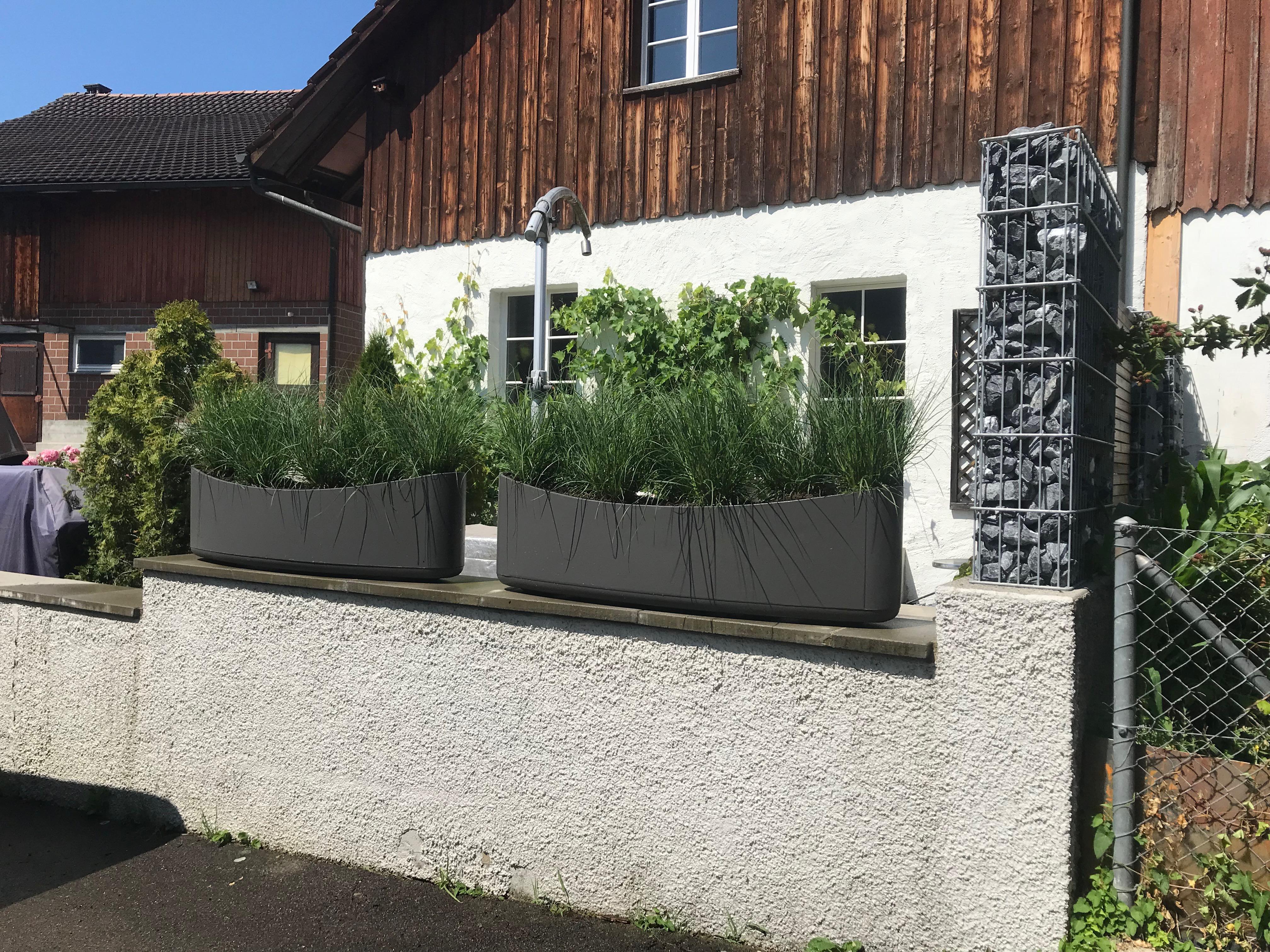 Tschann und Rietmann Gartenbau AG, Wilerstrasse 50 in Amlikon-Bissegg