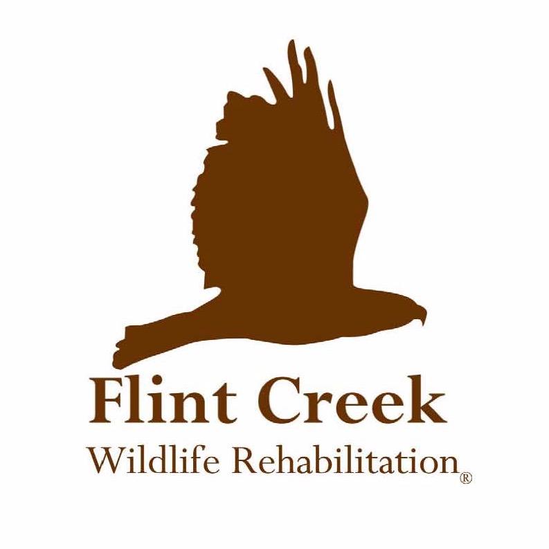 Flint Creek Wildlife Rehabilitation Logo