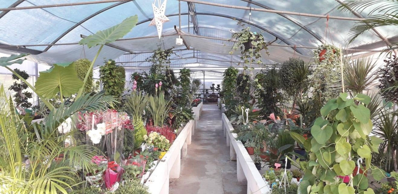Images Gaia Garden Vivaio