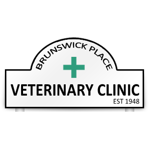 Brunswick Place Veterinary Clinic Basingstoke 01256 473371