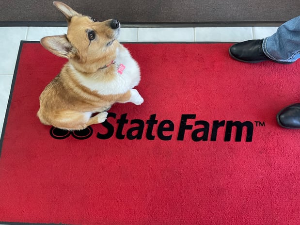 Images James Madrid - State Farm Insurance Agent
