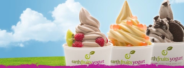 Images Earthfruits Yogurt