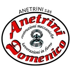 Anetrini Sas Logo