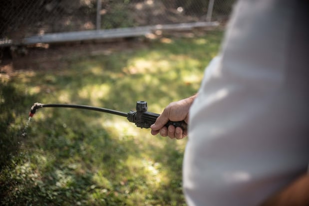 Images Massey Services Pest Control