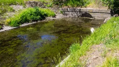 Images Desazolve De Fosas Sépticas Y Drenajes Garza