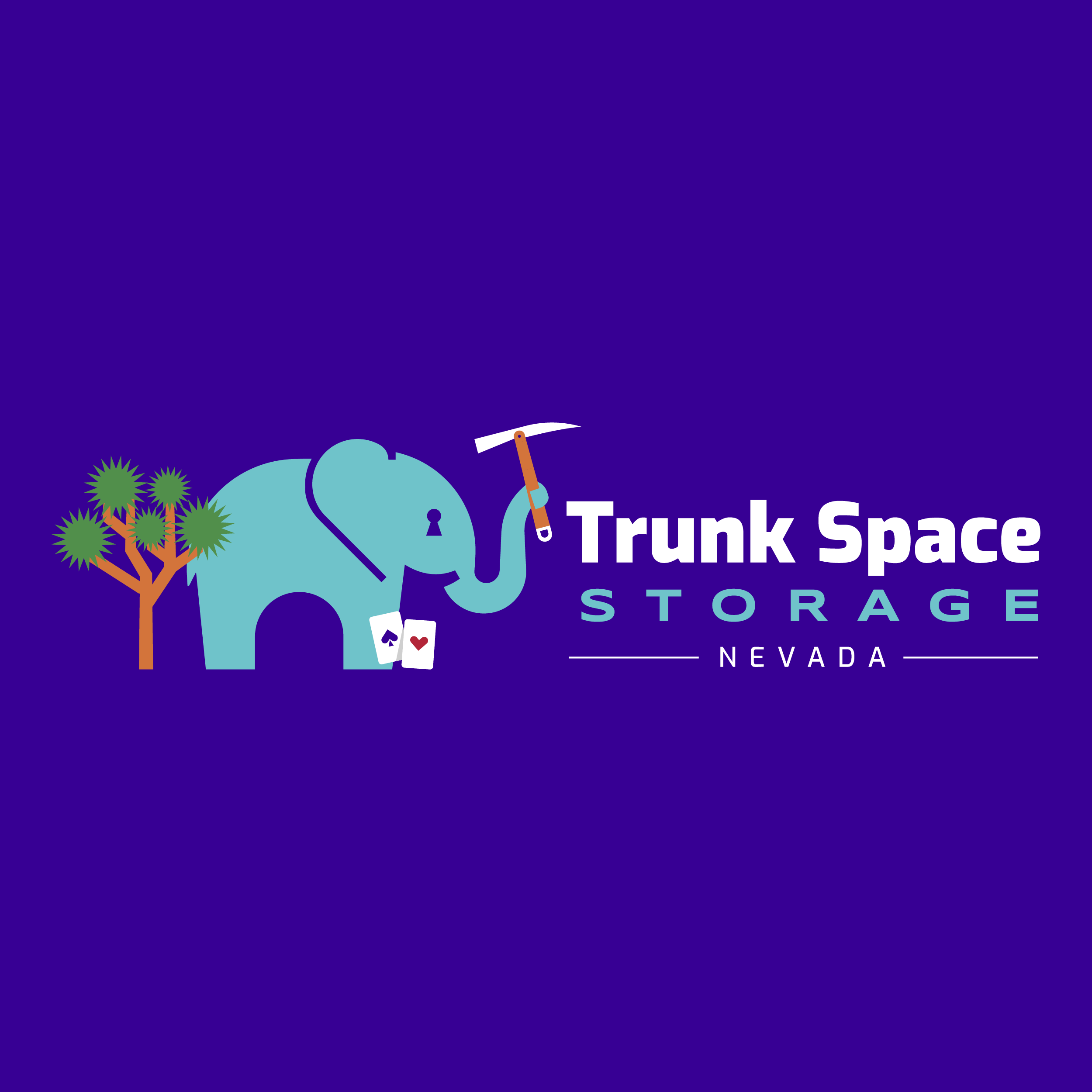 Trunk Space Storage
