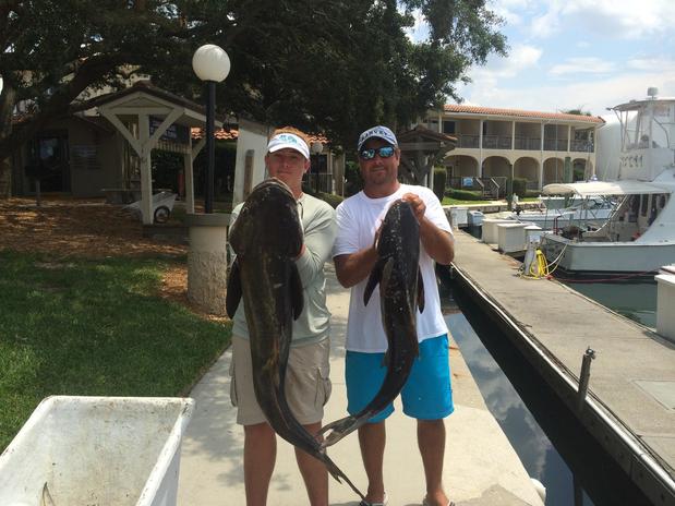 Images MisStress Charters