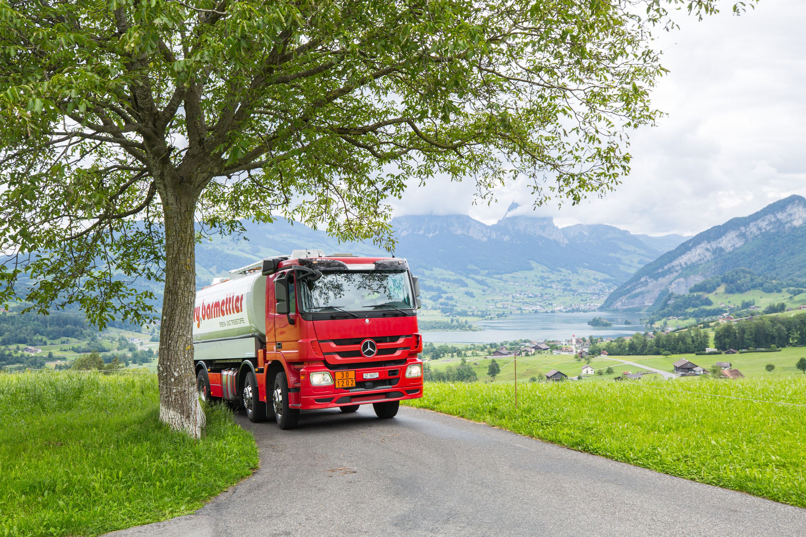 Bilder Föry Barmettler AG