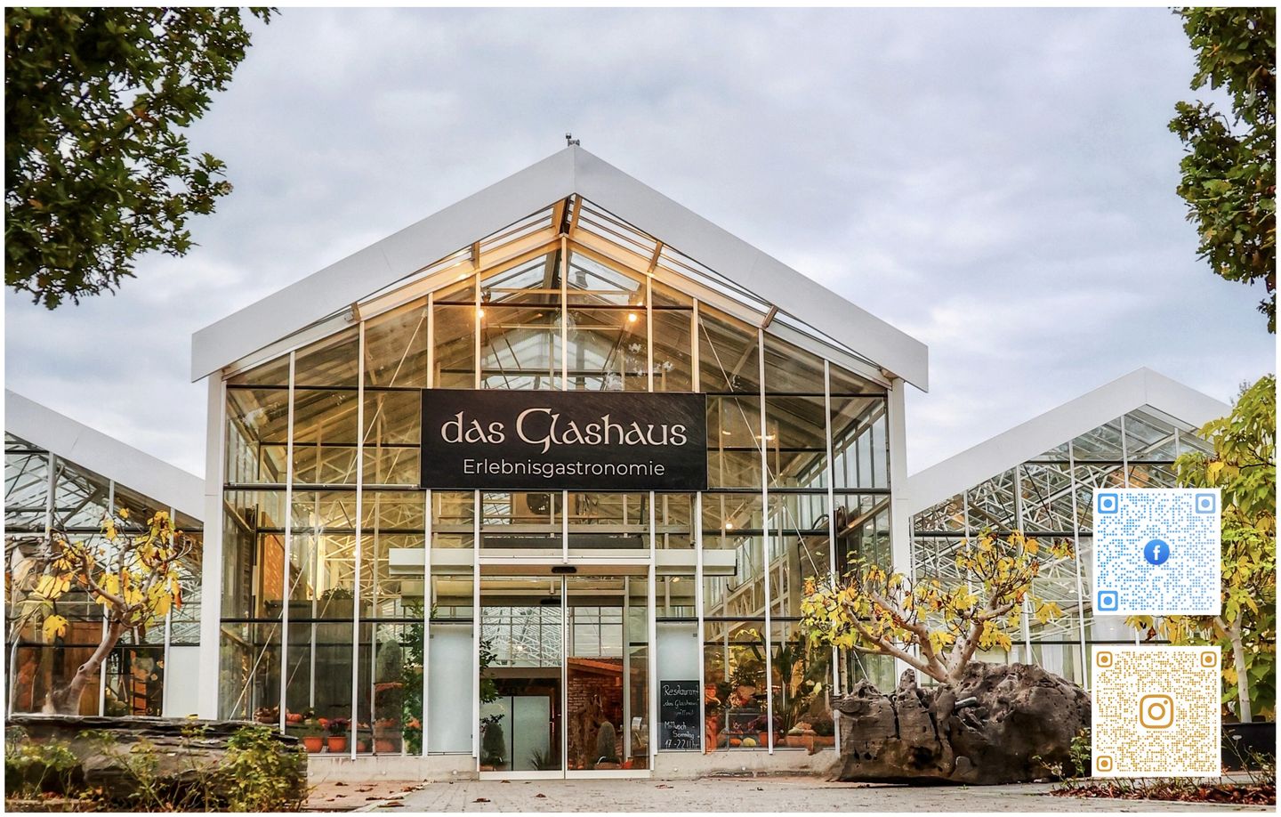 Das Glashaus Inh. Dirk Noack, Halbendorfer Weg 1 in Halbendorf