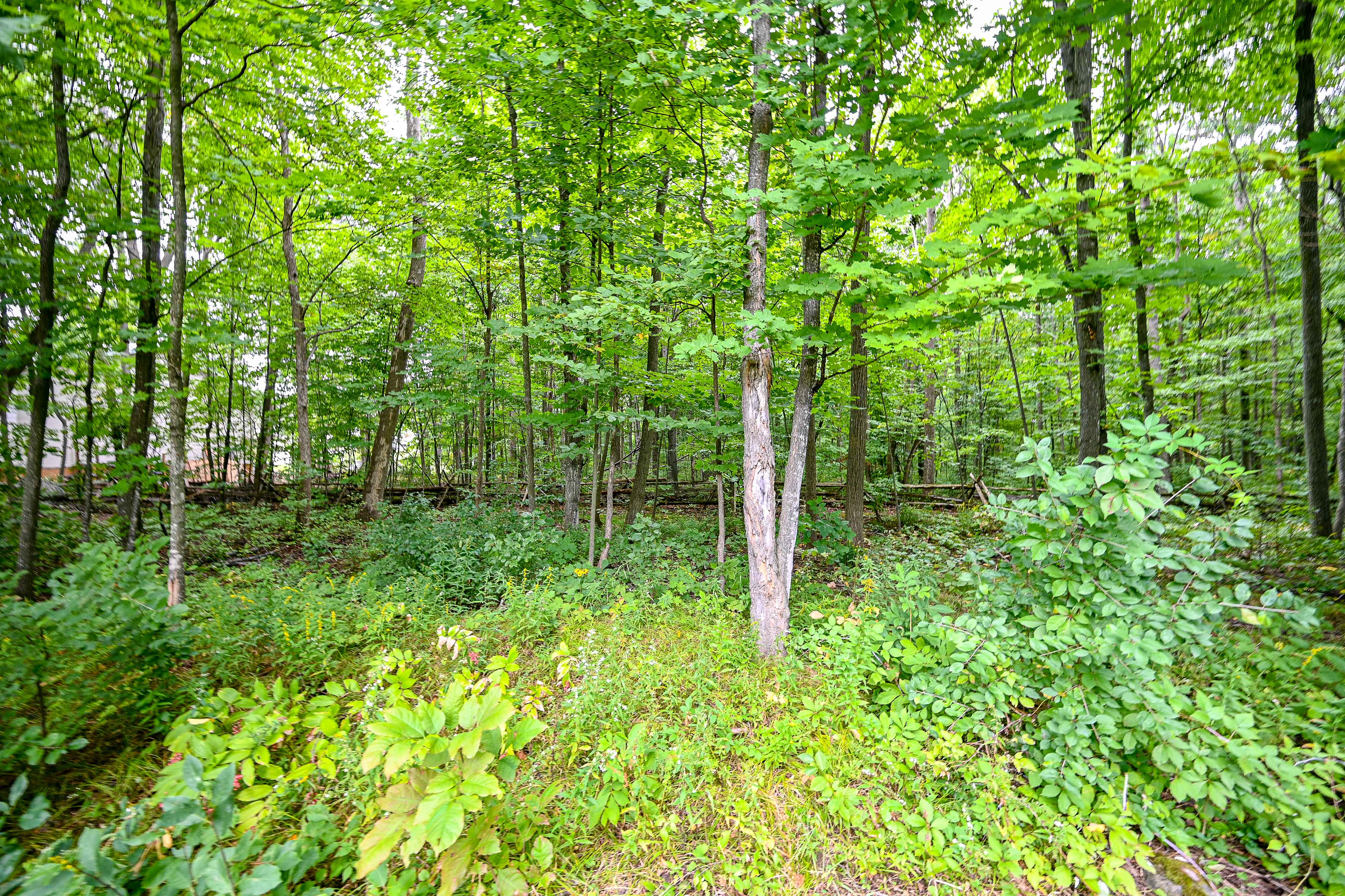 Images Leif Olson - Ottawa Real Estate Agent - Hamre Team RE/MAX Affiliates