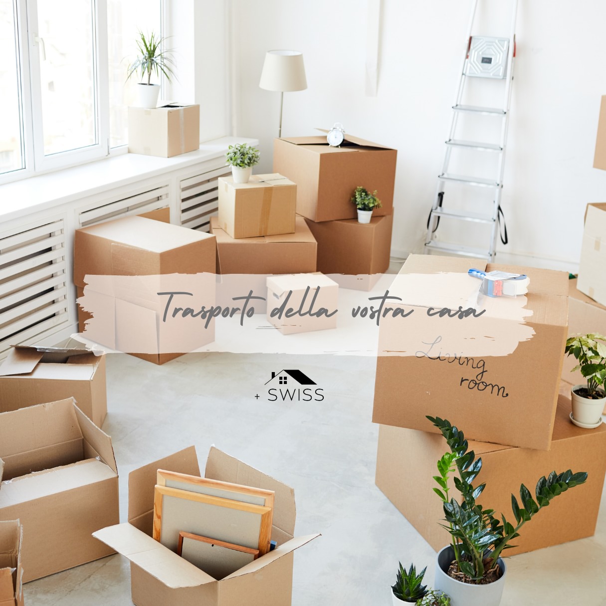 Bilder + Grandi Solutions