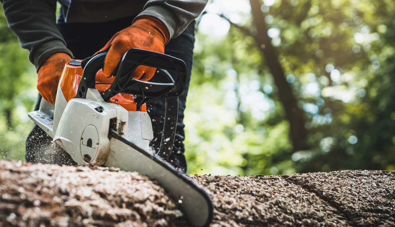Images Glifbergs Skog och Entreprenad
