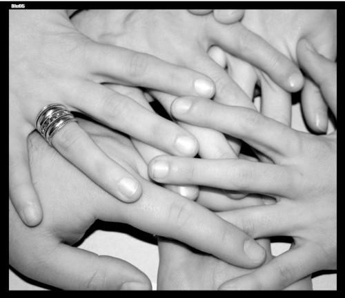 Images Insieme Si Può soc.coop. Sociale