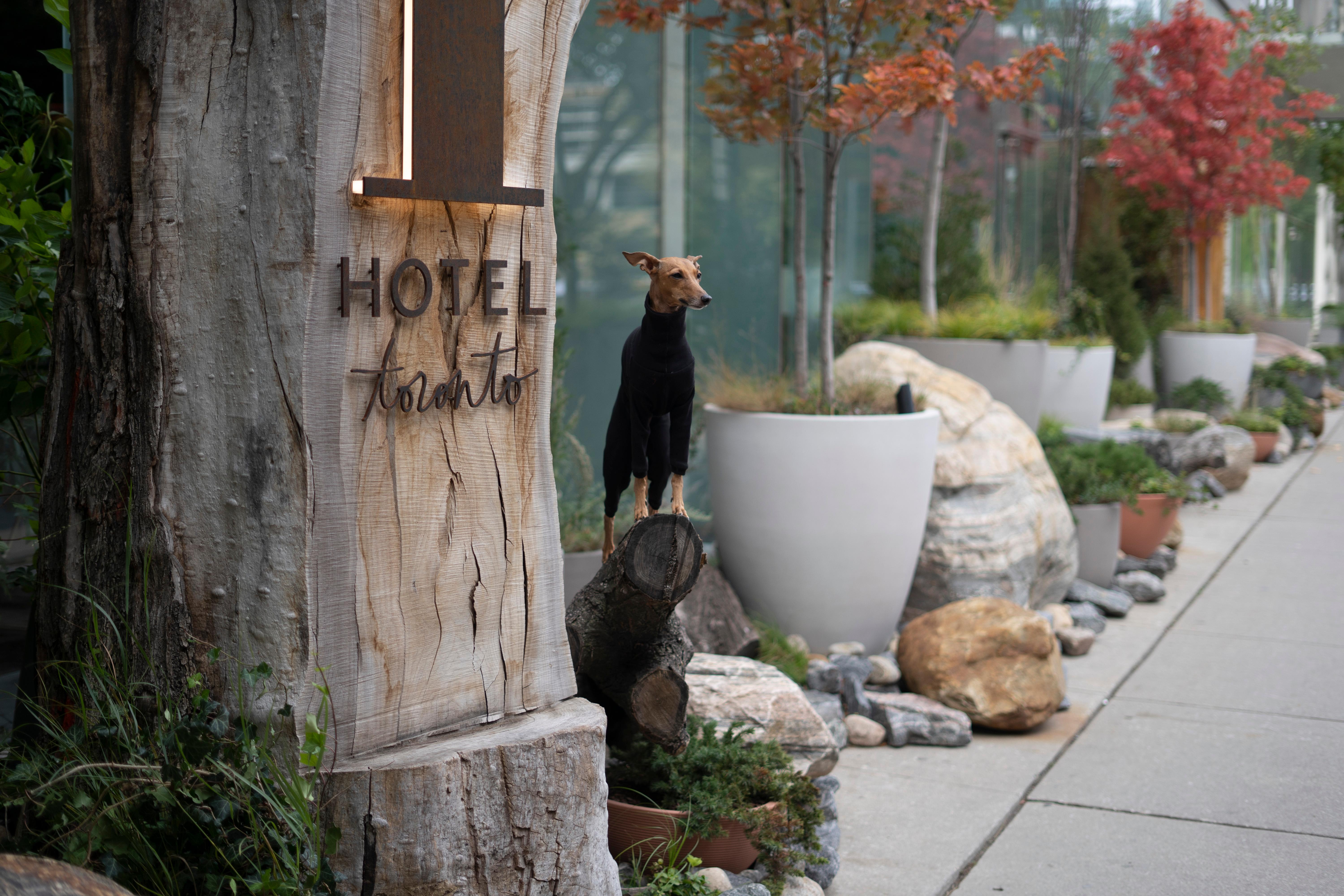 1 Hotel Toronto