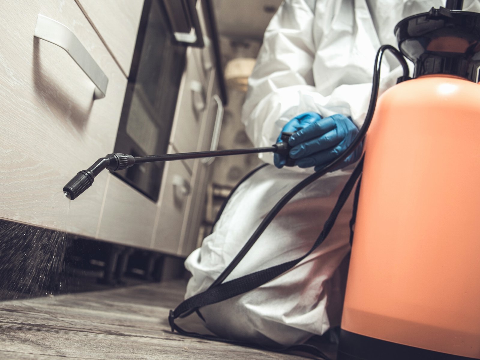 BuzzKill Pest Solutions