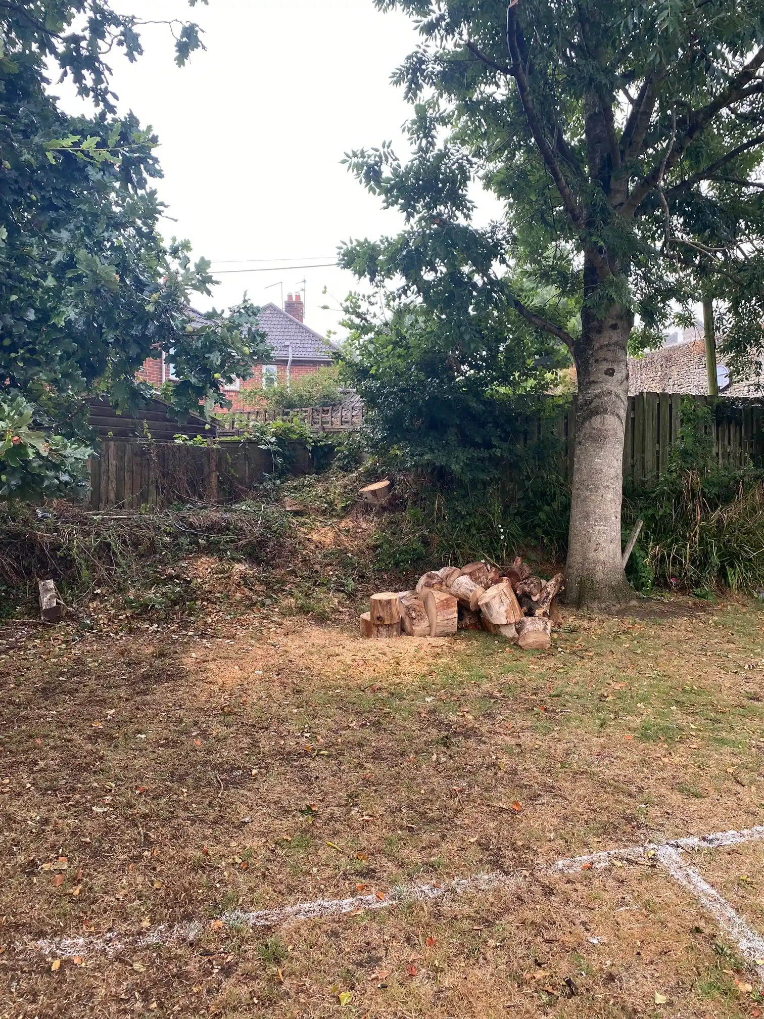 Images Wincanton Tree Care