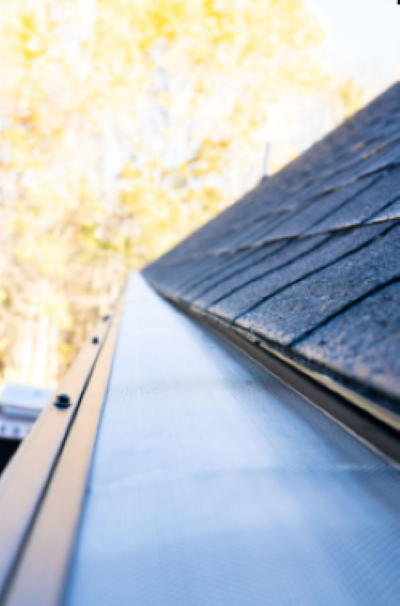 The Brothers that just do Gutters Image