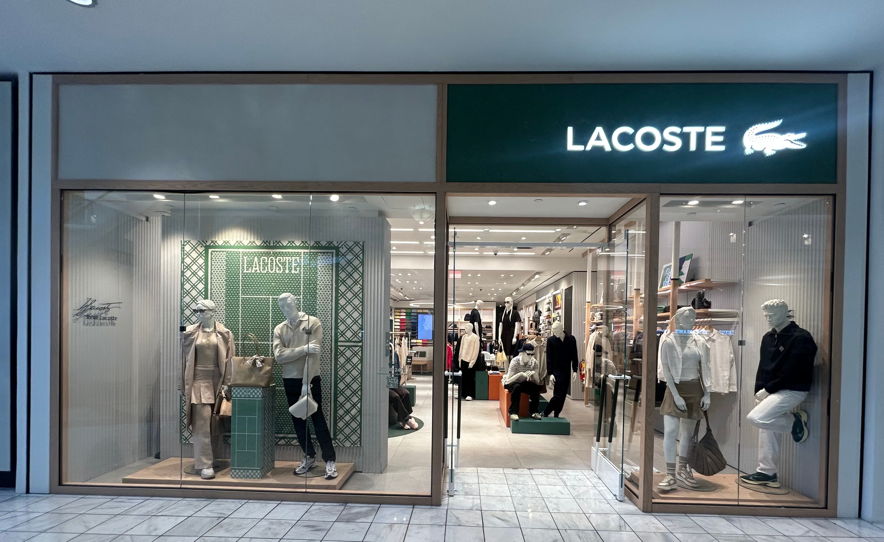 Overall View - Windows (Hero Image)