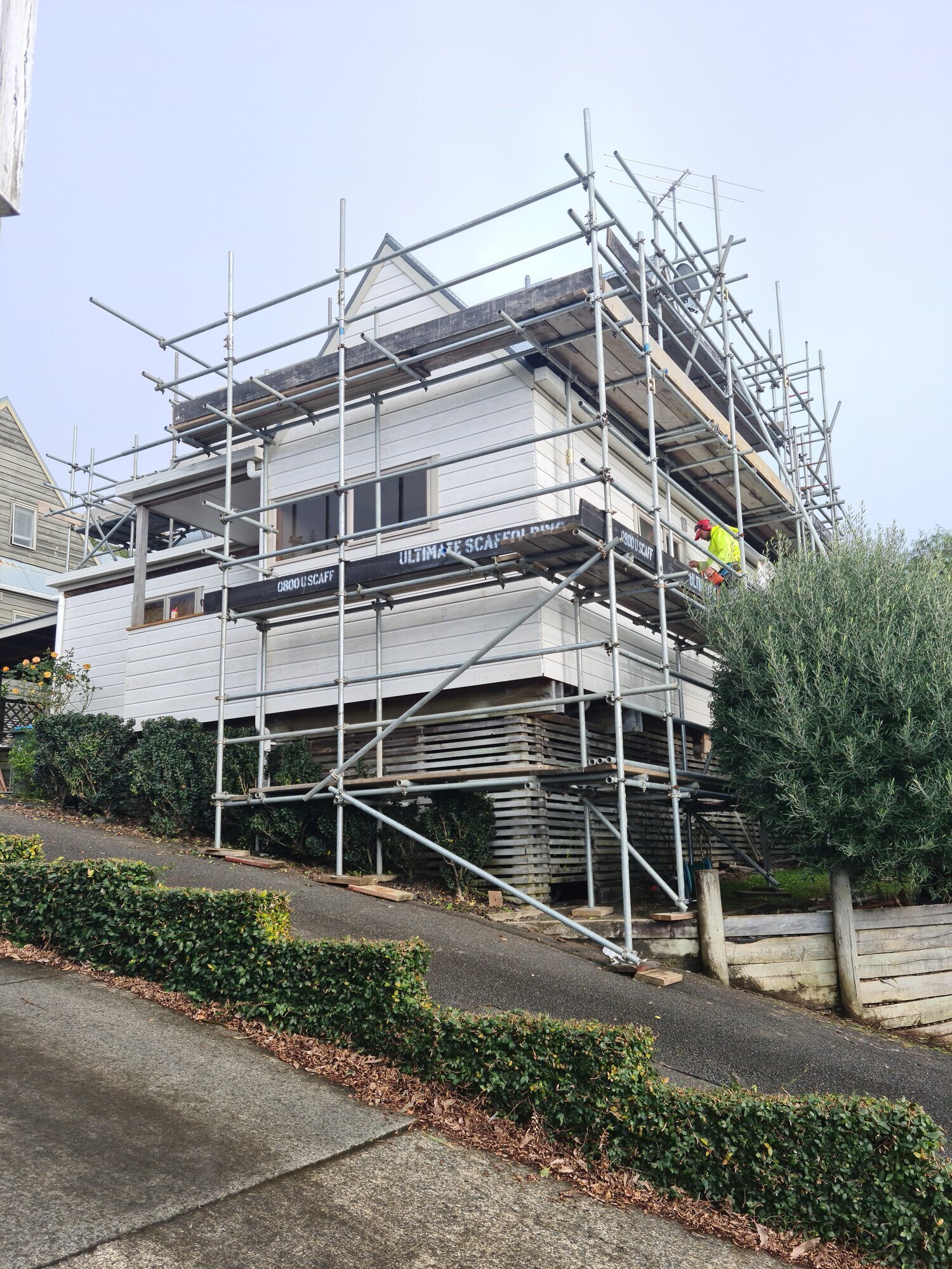 Images Tropical Painters & Decorators