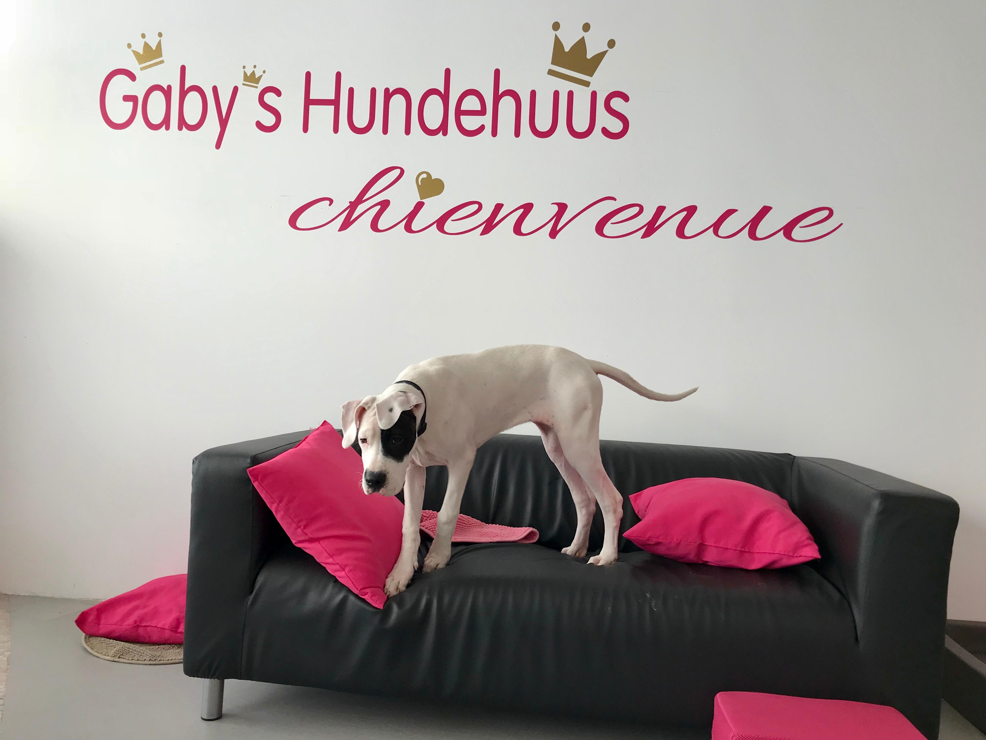 DOG-S.ch, Bahnhofwiese 5 in Stäfa