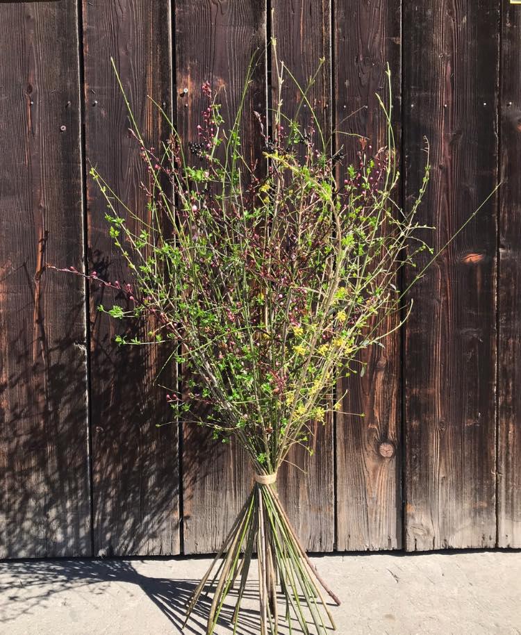 bluamaundmeh, Ketschelenstraße 1 in Feldkirch