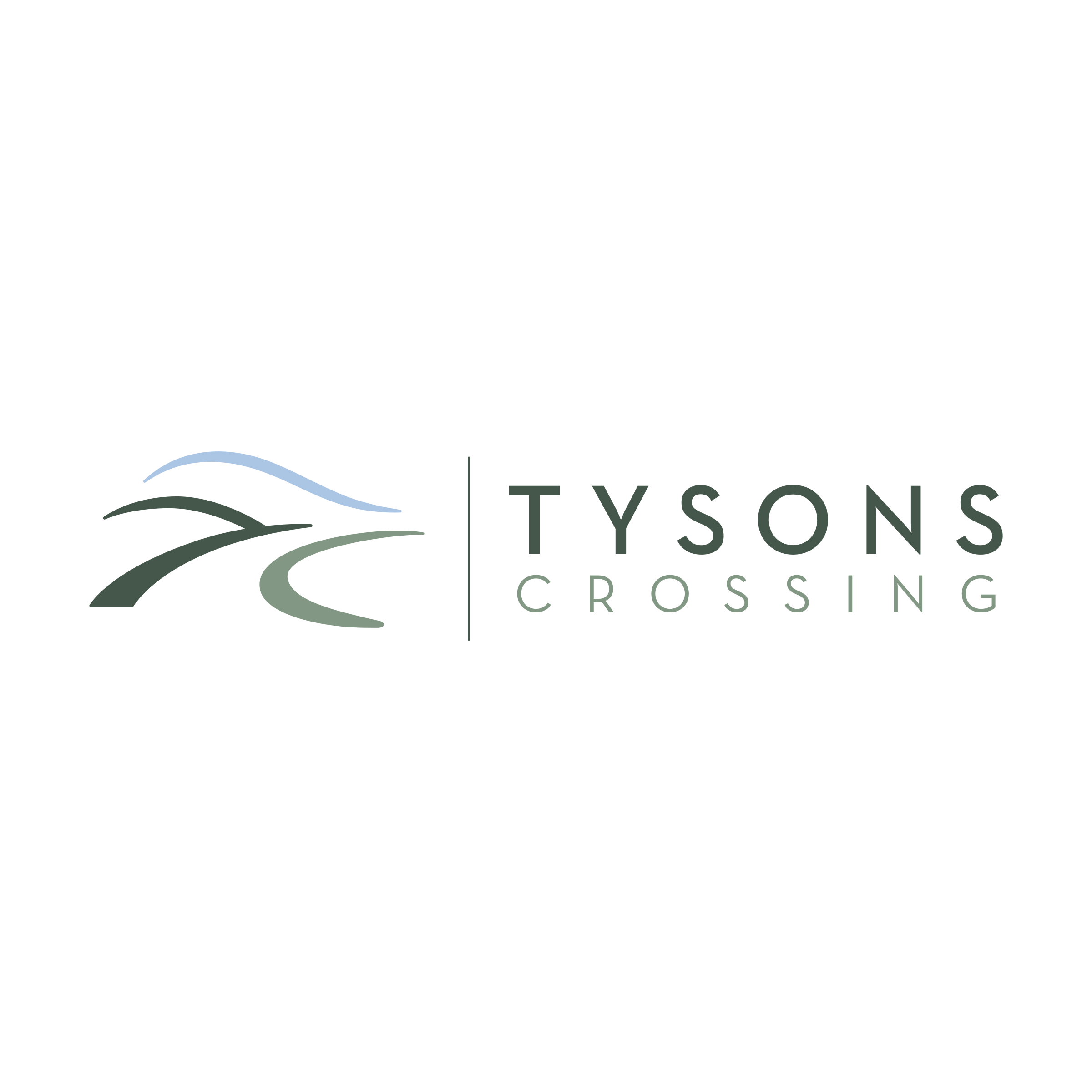 company logo