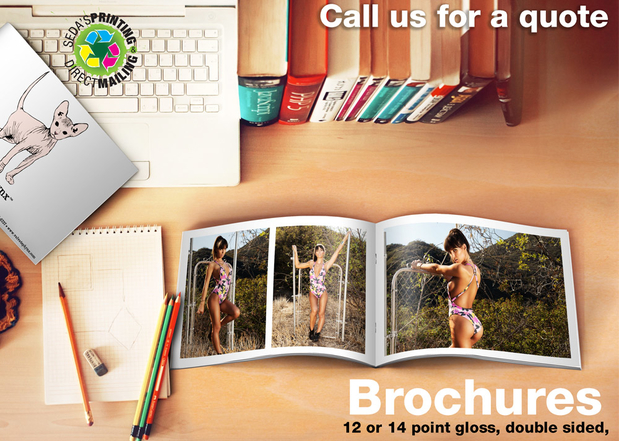 Images Seda's Printing and Direct Mailing
