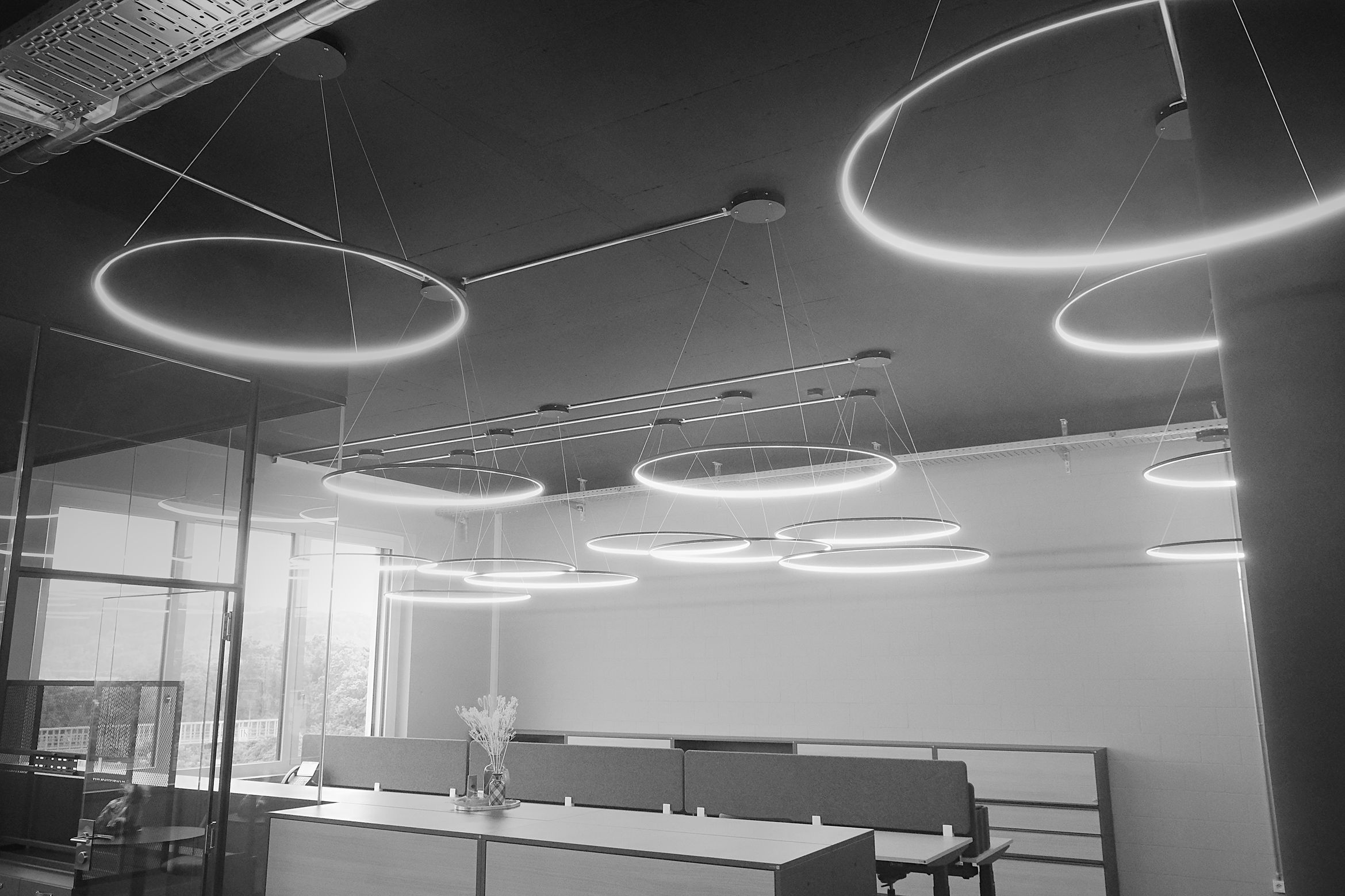 Bilder W. Rokitzky AG