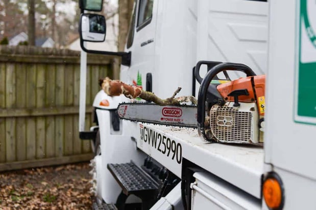 Images Blazer Tree Service