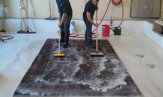 Images Zest Carpet Cleaning