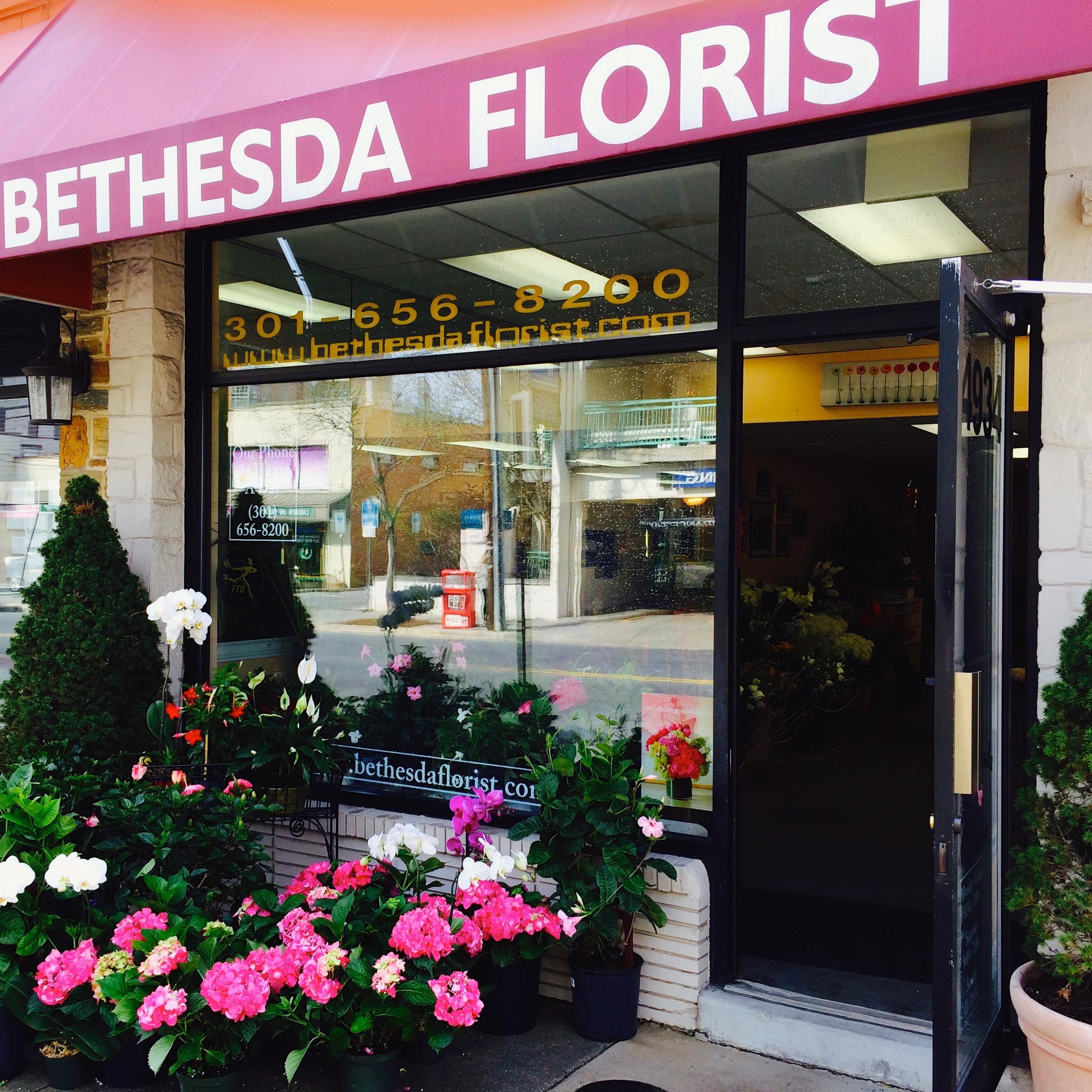 Bethesda Florist Logo