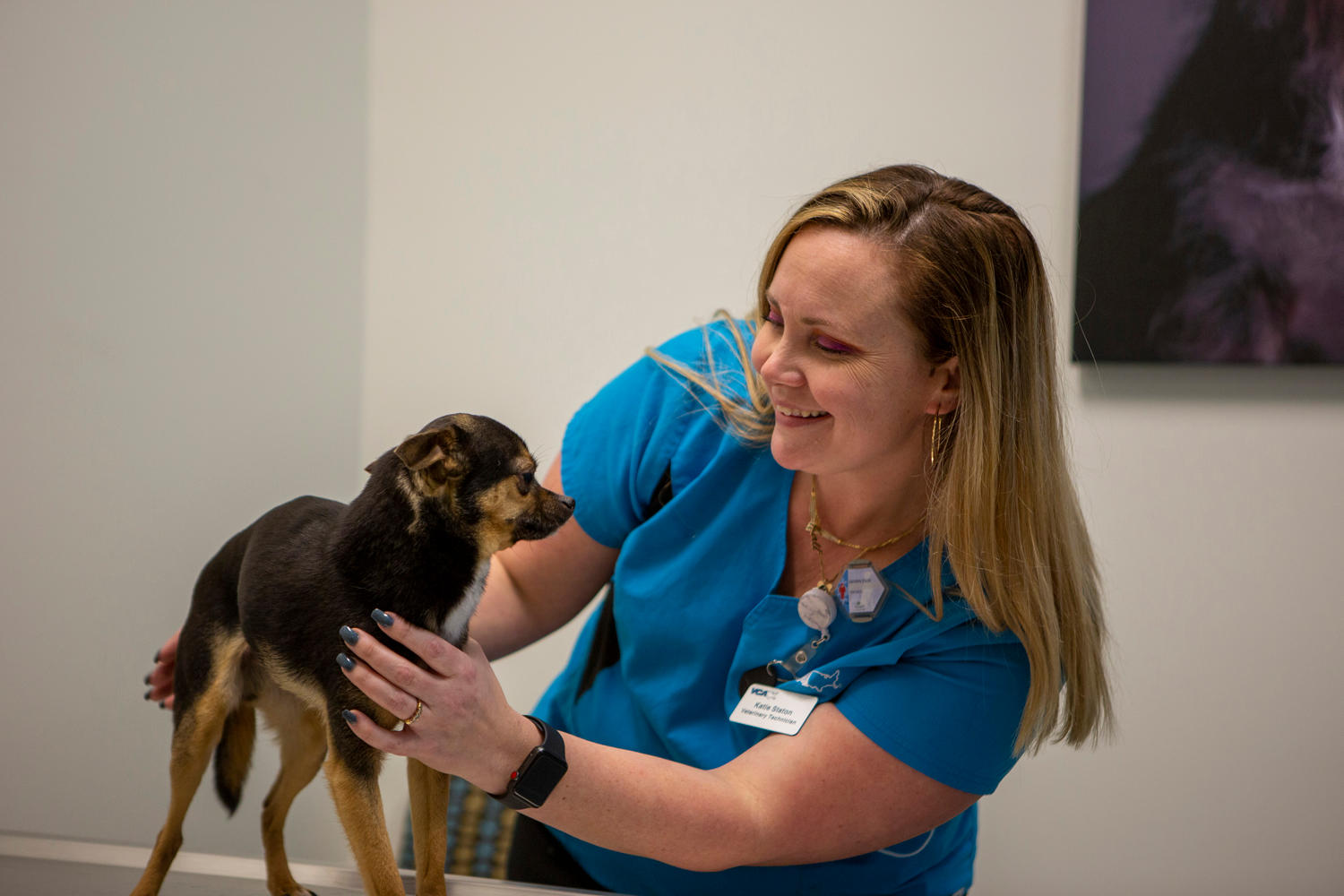 Image 4 | VCA Capital Area Veterinary Specialists