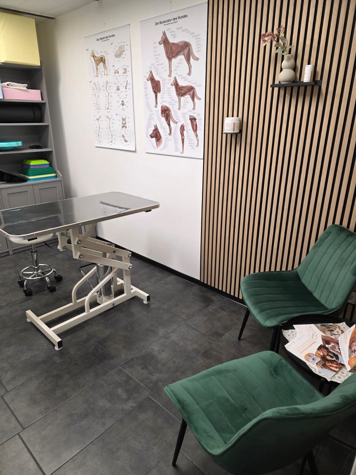 Tierphysiotherapie Praxis FellVital, Böwerweg 14 in Wittbek